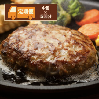 《定期便》ハンバーグ 4個入り×5回分【通常包装】